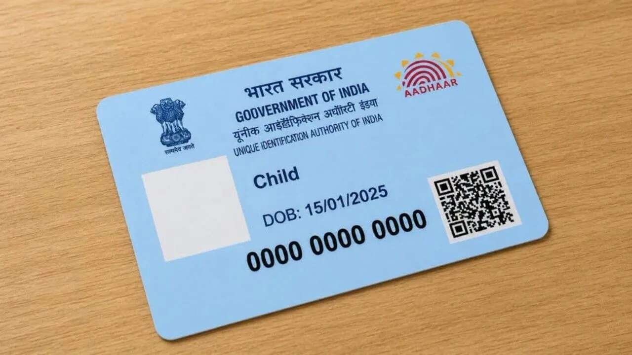 How to Download a Lost Blue Aadhaar Online for Your Child Without Visiting an Aadhaar Centre