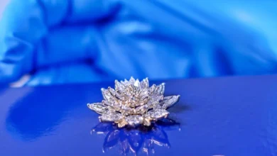 India Sends First Lab Grown Diamond Into Space on Vikram 1 Mission