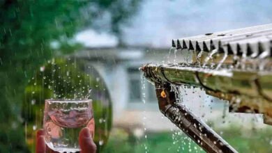 Is Drinking Rainwater Safe Experts Explain the Hidden Health Risks and Precautions