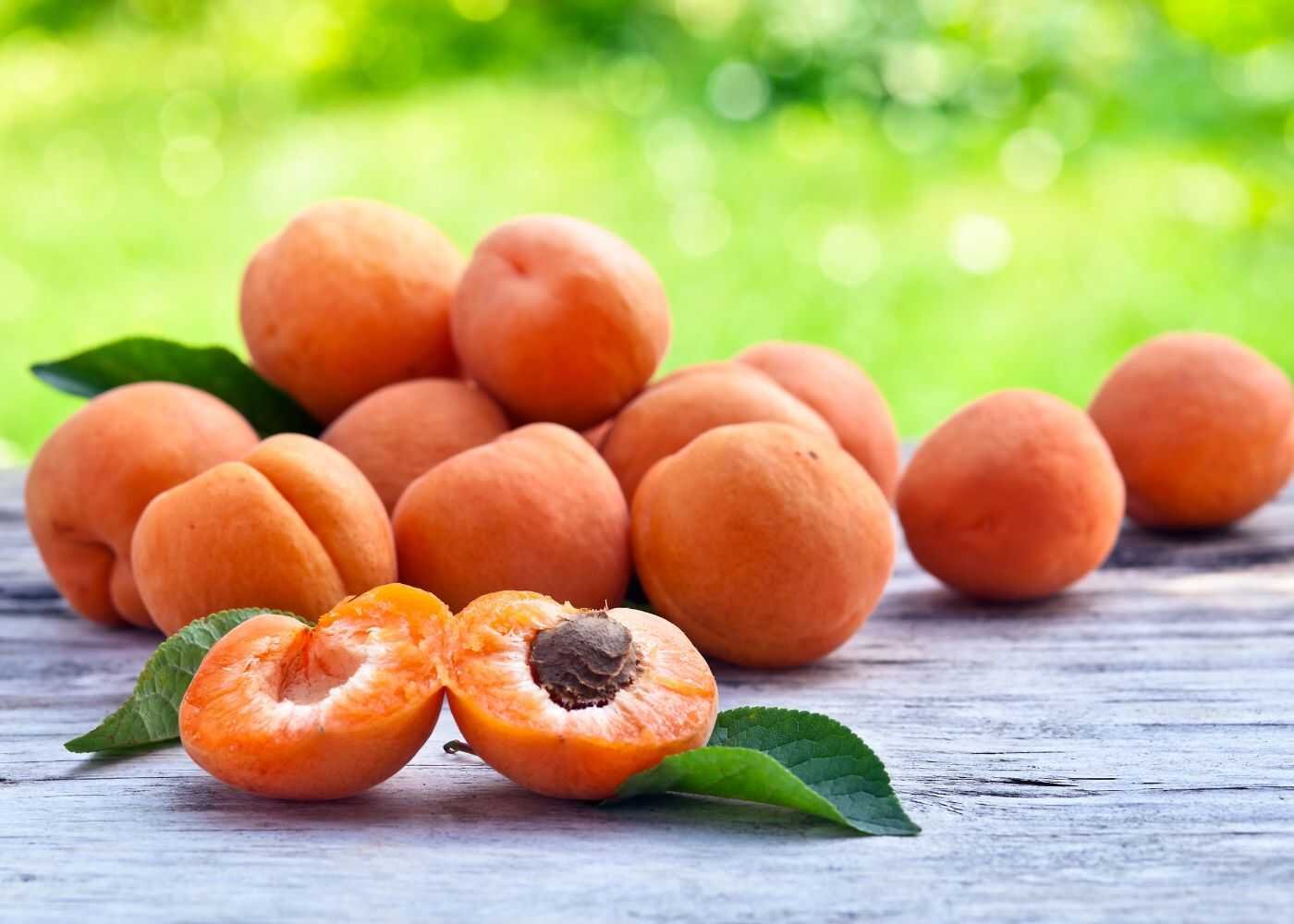 Ladakh Apricots Reach UAE in Landmark Export Boost