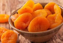 Ladakh Premium Apricots Reach UAE in Landmark Export Boost for Farmers