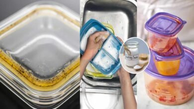 Lunch Box Rubber Seal Cleaning Hacks Simple Kitchen Tricks to Make It Look Brand New Again