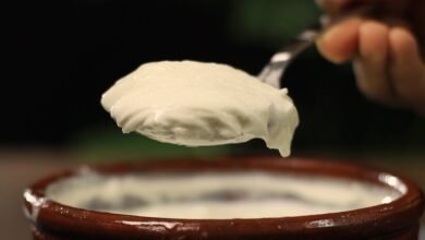 Make Thick Curd In Just 2 To 3 Hours With This Simple Home Trick
