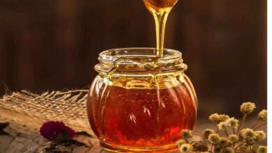 Pure Honey or Fake Here Are Five Simple Ways to Check It at Home