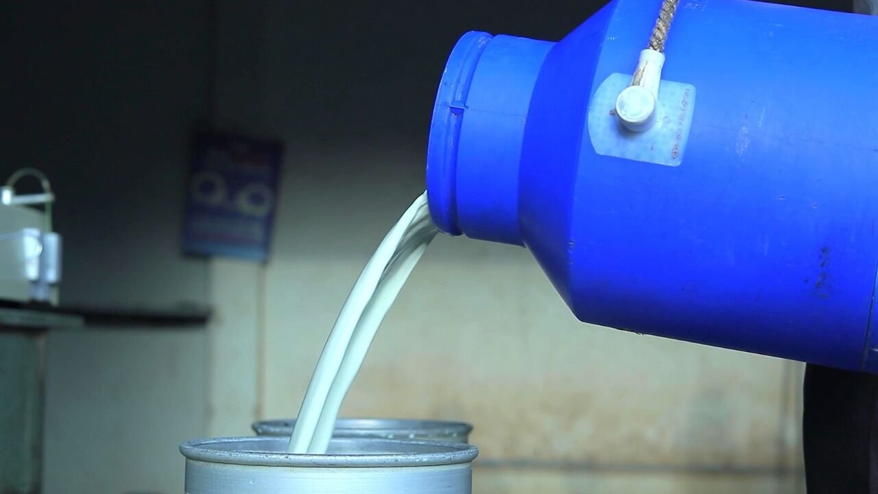Simple Home Tests To Check If Your Milk Is Pure Or Adulterated