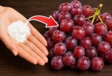 Simple Ways to Clean Grapes Properly Before Eating