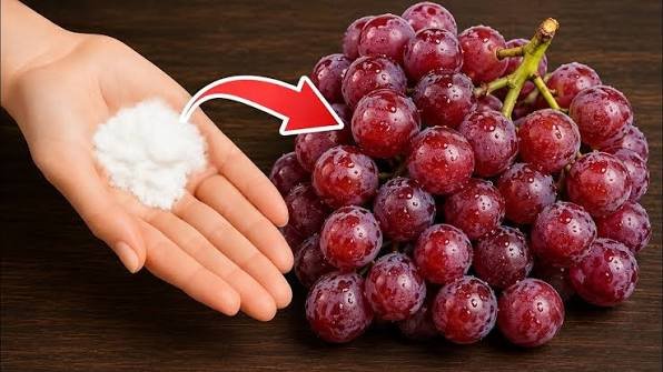 Simple Ways to Clean Grapes Properly Before Eating