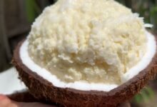 Sprouted Coconut for Diabetes: Healthy Choice or Hidden Risk Experts Reveal Facts