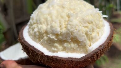 Sprouted Coconut for Diabetes: Healthy Choice or Hidden Risk Experts Reveal Facts