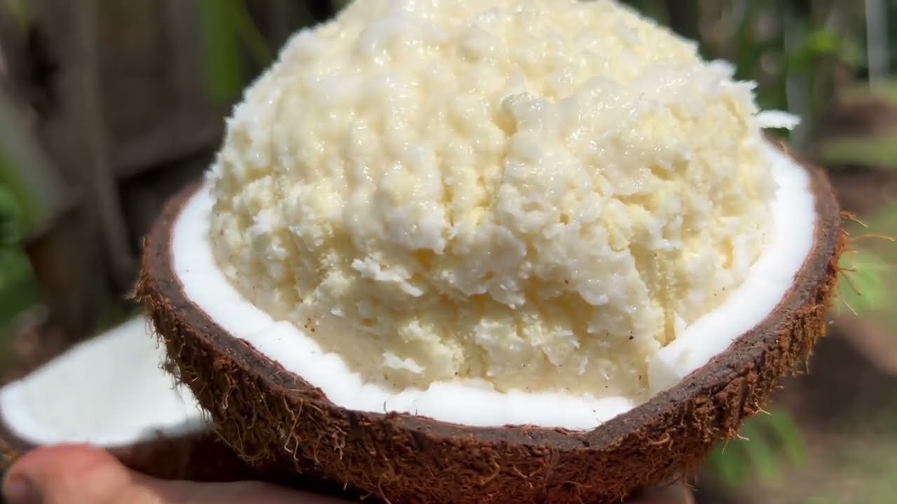 Sprouted Coconut for Diabetes: Healthy Choice or Hidden Risk Experts Reveal Facts