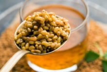 Sprouted Fenugreek Seeds Offer Powerful Health Benefits When Added to Daily Diet