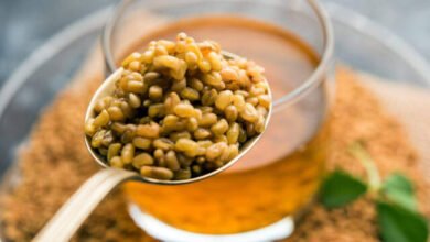 Sprouted Fenugreek Seeds Offer Powerful Health Benefits When Added to Daily Diet