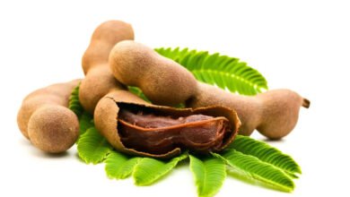 Tamarind Benefits: How This Tangy Fruit May Support Digestion, Heart Health and Immunity