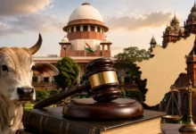 Tamil Nadu Challenges Madras High Court Order on Complete Cow Slaughter Ban in Supreme Court