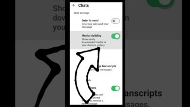 WhatsApp Setting Change Can Stop Photos and Videos From Filling Your Phone Storage