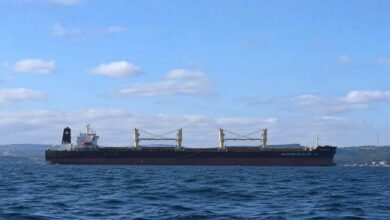 Indian National Killed in Black Sea Attack on Commercial Ship as India Condemns Strike