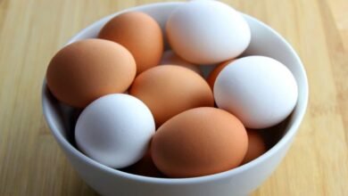 Egg Prices Hit Record High as Supply Drops and Poultry Costs Rise
