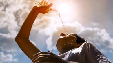 Telangana Unlikely to Receive Rain for Another Week as Heat Intensifies