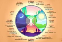 After 10 PM, Your Body Starts Winding Down: Why Your Biological Clock Matters