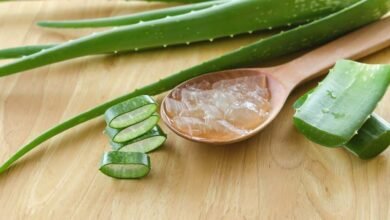 Aloe Vera Gel for Face: 5 Benefits You Should Know