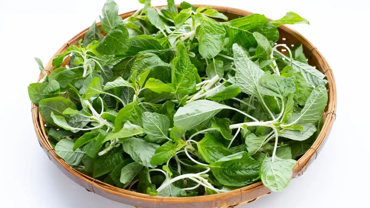 Amaranth Leaves Are Healthy, But Some People Should Be Careful