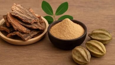Arjuna Bark and Heart Health: What the Evidence Says