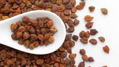 Black Chickpea Chutney Recipe Packed With Protein and Bold Flavour