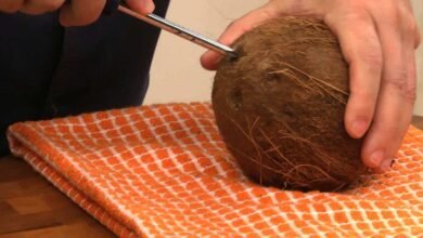 Coconut Opening Tricks: Easy Ways To Open A Coconut Without A Hammer