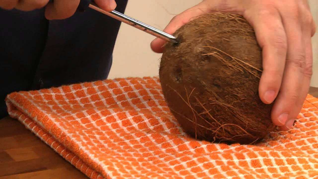 Coconut Opening Tricks: Easy Ways To Open A Coconut Without A Hammer