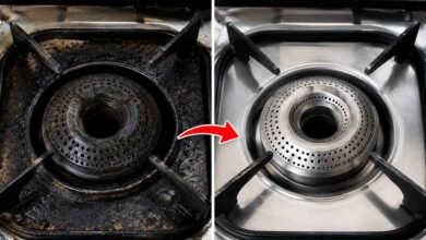 Easy Ways To Clean Blackened Gas Burners And Bring Back A Clean Flame