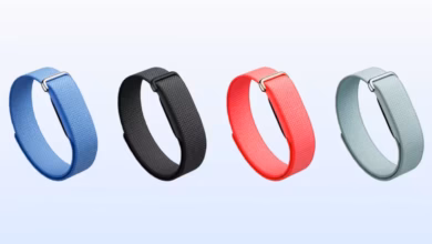 Google Fitbit Air Coming to India in October With a Screen Free Fitness Experience