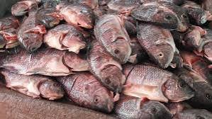 How to Identify Fresh Fish Before Buying It From the Market