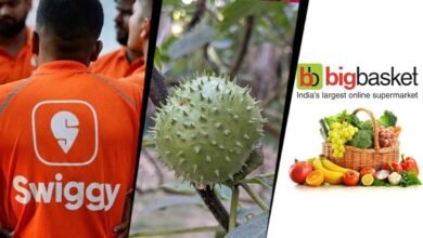 Karnataka FDA Suspends Food Licences of Amazon Instamart and BigBasket