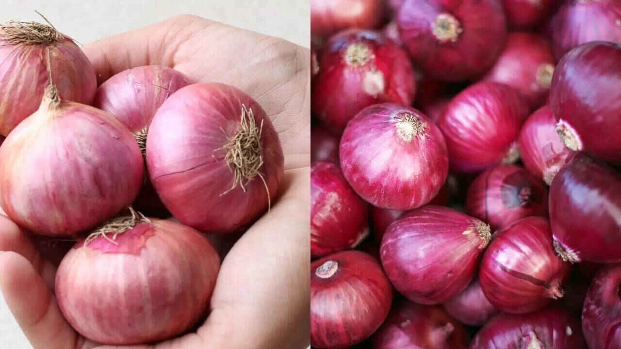 Onion Cutting Tips: Simple Ways to Reduce Tears While Chopping