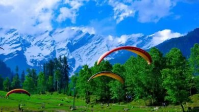 Paragliding in India: Five Scenic Destinations for an Unforgettable Adventure