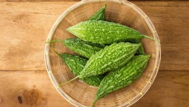 Wild Bitter Gourd Gains Attention As A Seasonal Nutritious Vegetable
