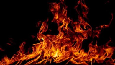 Medchal Warehouse Fire: Massive Fire Breaks Out at Cold Rush Logistics Warehouse in Medchal