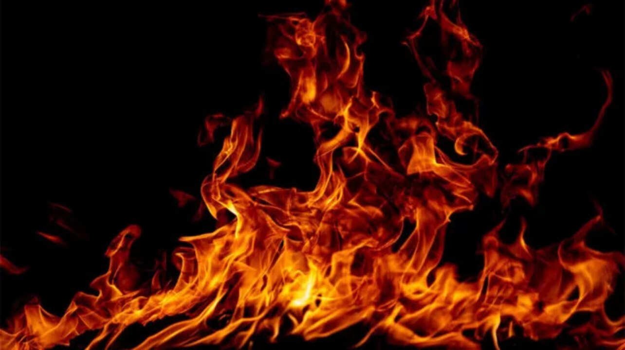 Medchal Warehouse Fire: Massive Fire Breaks Out at Cold Rush Logistics Warehouse in Medchal