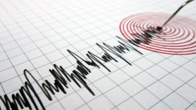 Flores Earthquake: Powerful 7.7 Earthquake Hits Indonesia’s Flores Island