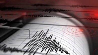 5.9 Magnitude Earthquake Hits Japan: 5.9 Magnitude Earthquake Shakes Tokyo and Eastern Japan