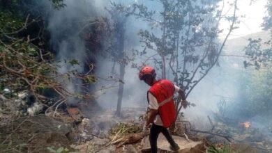 Kenya Helicopter Crash Kills Seven: Helicopter Crash in Northern Kenya Kills Seven