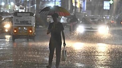 Heavy Rain Alert Issued for Telangana as IMD Warns of Three Days of Wet Weather