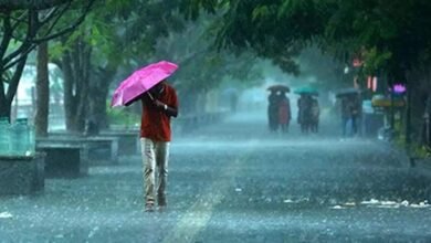 Telangana Rain Alert: Telangana Rain Alert as Trough Brings More Showers