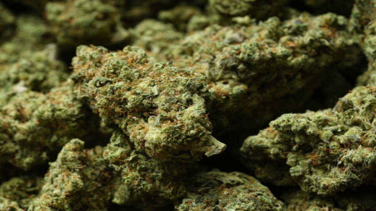 West Bengal Police Seize 11 Kilograms of Ganja and Arrest One Smuggler