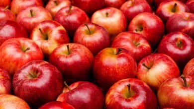 Apple Benefits: Why This Everyday Fruit Can Be A Healthy Choice