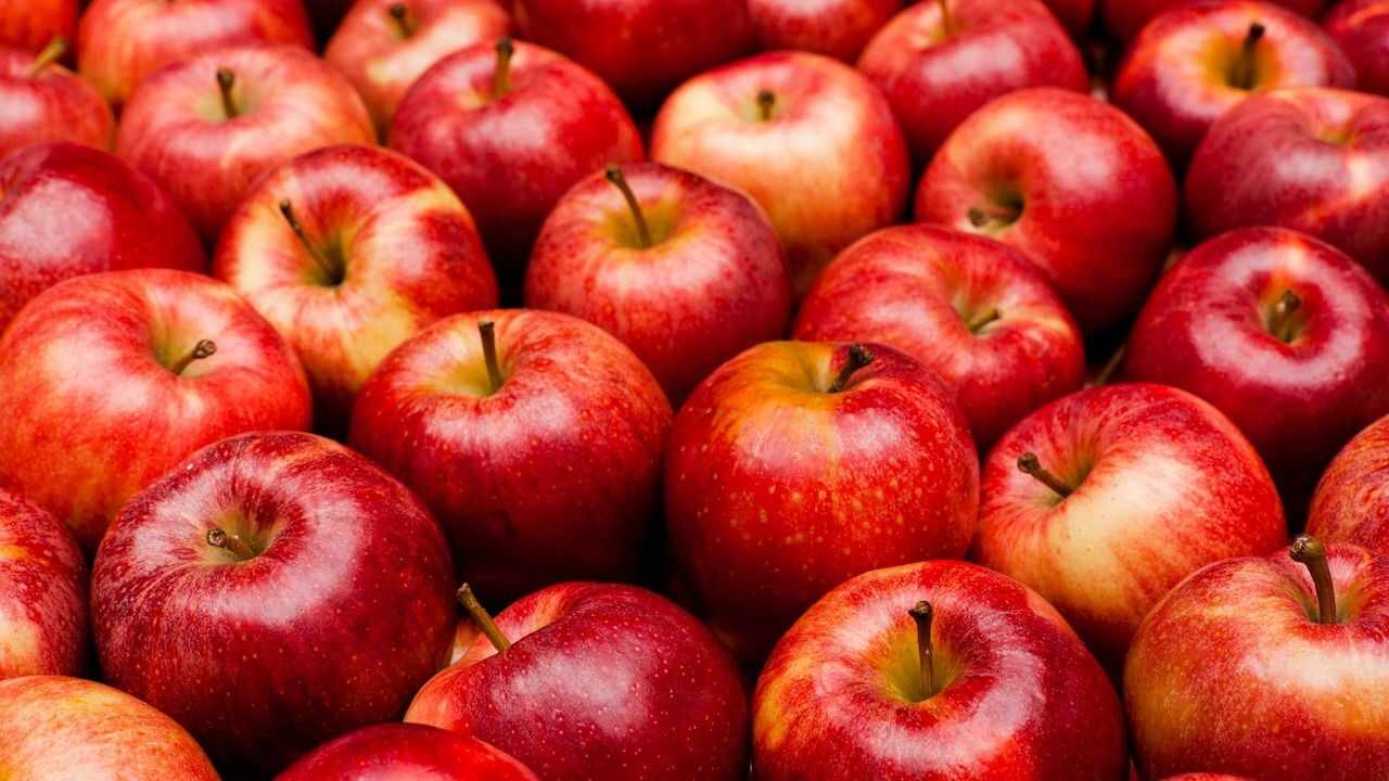 Apple Benefits: Why This Everyday Fruit Can Be A Healthy Choice