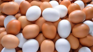 Brown Eggs Are Not Always Country Eggs Know What Really Matters Before Paying More