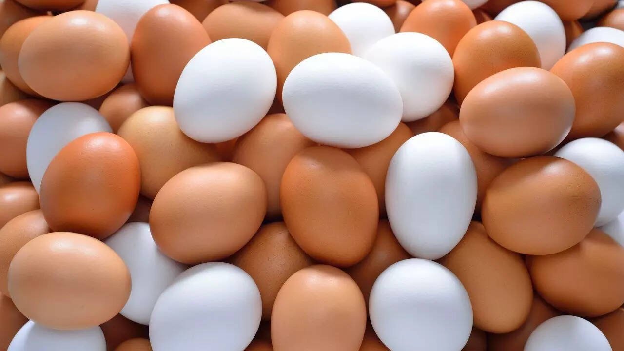 Brown Eggs Are Not Always Country Eggs Know What Really Matters Before Paying More