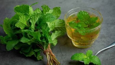 Can Mint And Cinnamon Tea Help Control Blood Sugar