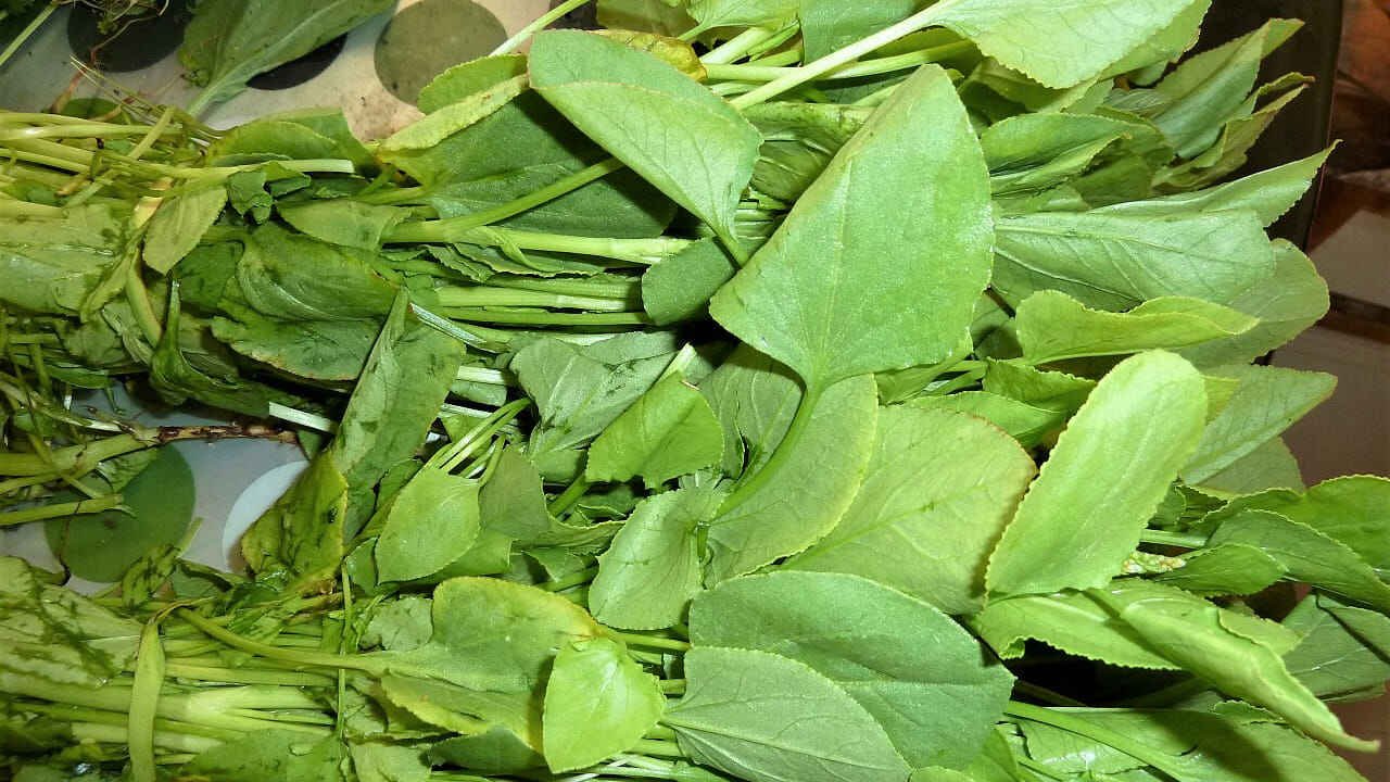 Chukkakura Offers Antioxidants and Nutrients for Eye and Skin Health